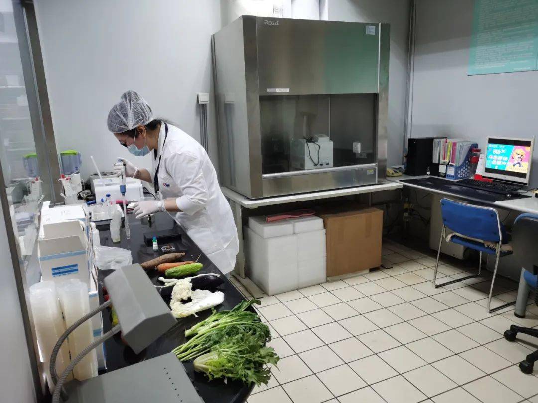洛阳食品检测实验室装修方案